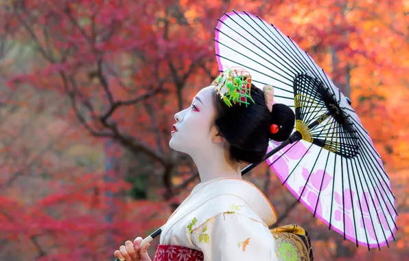 Картинка осень, девушка, япония, зонт, гейша, girl, кимоно, азиатка