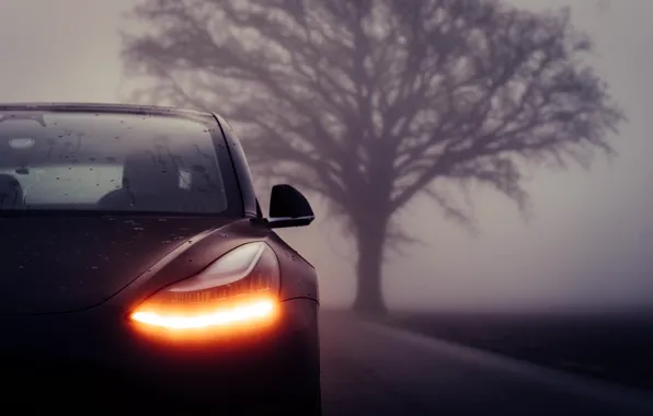 Фара, Tesla, Model 3