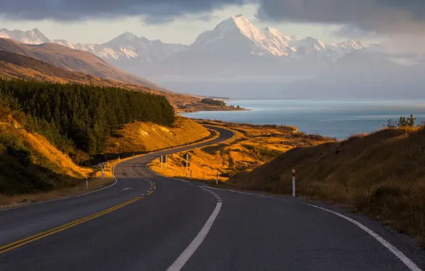Картинка дорога, лес, горы, Новая Зеландия