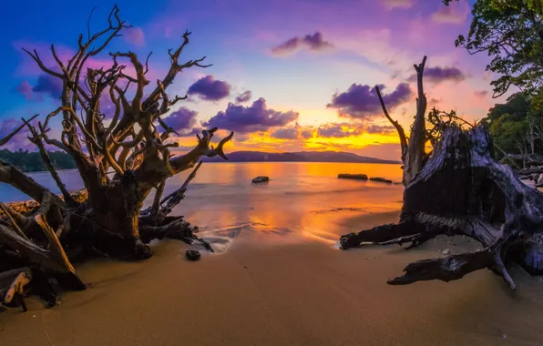 Море, закат, берег