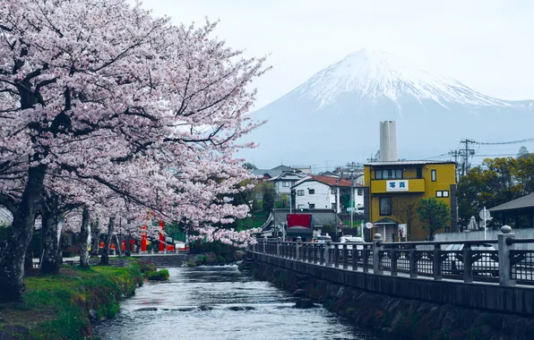 Japan, Mount Fuji, Ricardo, Hongū