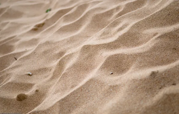Картинка песок, пляж, макро, природа, фото, обои