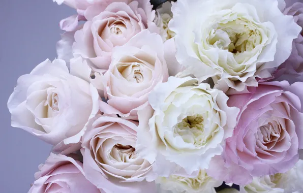 Цветы, букет, розовые, pink, flowers, bouquet, roses