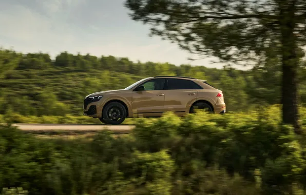 Картинка car, Audi, trees, side view, Q8, Audi Q8 2024