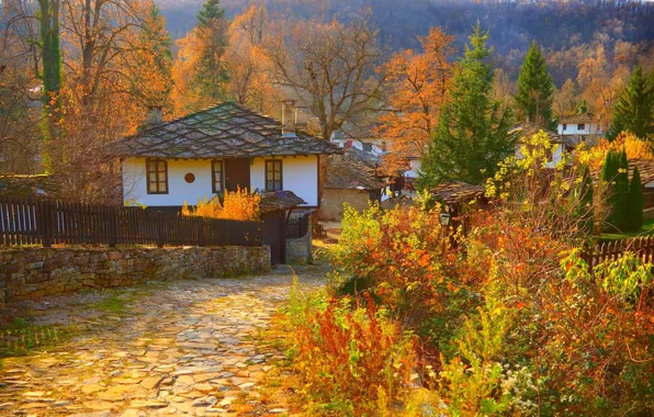 Дома, Осень, Деревня, Fall, Дорожка, Autumn, Colors, Village