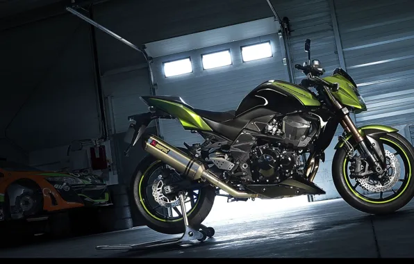 Kawasaki, Akrapovic, Exaust