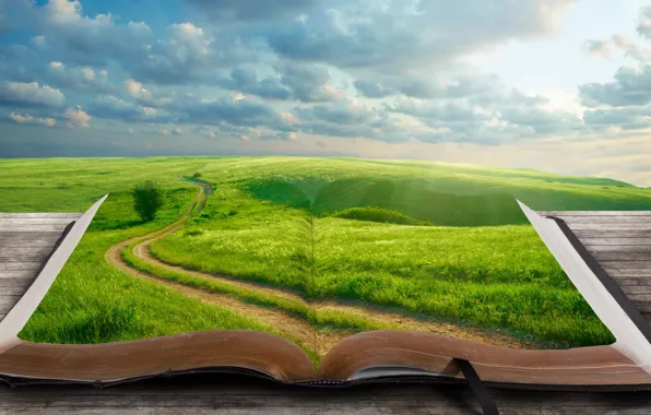 Дорога, трава, облака, пейзаж, дерево, мир, книга, закладка