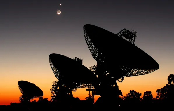 Поиск, Луна, Венера, радиотелескоп, Авcтралия, SETI, параболическая антенна