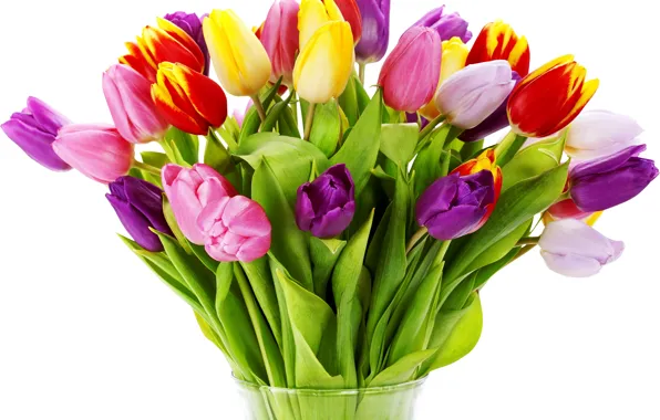 Картинка цветок, цветы, природа, тюльпан, букет, весна, тюльпаны, ваза