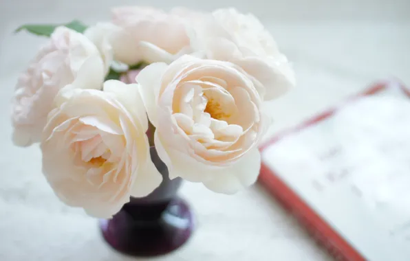 Картинка цветы, розы, букет, ваза, бело-розовые