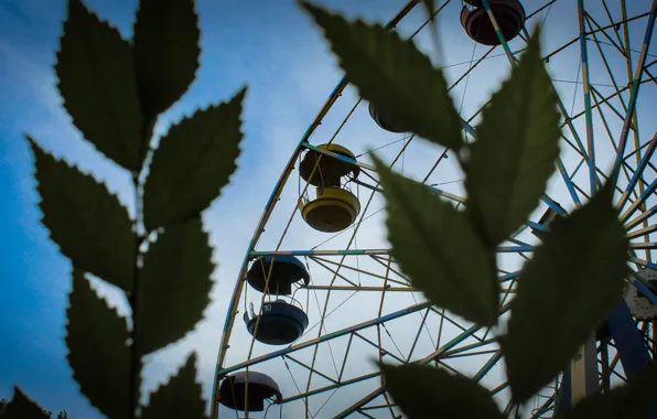City, Grass, Ferris wheel, Dnipro