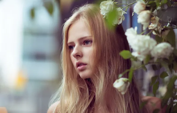 Картинка девушка, волосы, портрет, розы, сад, блондинка