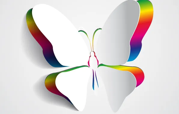 Цвета, фон, бабочка, крылья