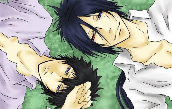 Фон, двое, Katekyo Hitman Reborn!, Рокудо Мукуро, Хибари Кёя, Учитель мафиози Реборн