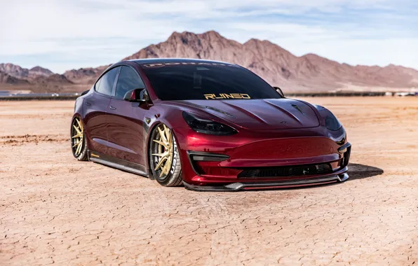 Red, Tesla, Desert
