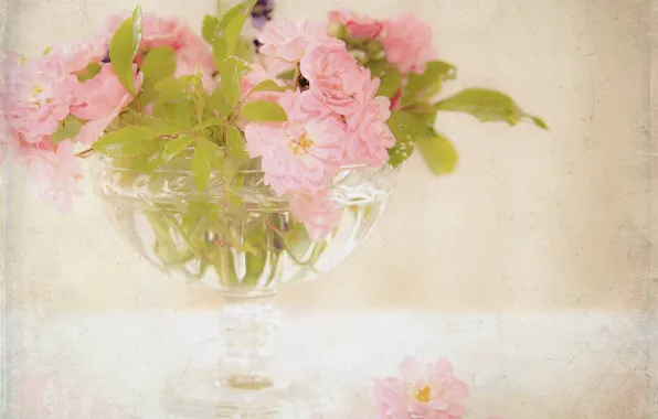 Картинка цветы, розы, букет, ваза, розовые, чайные
