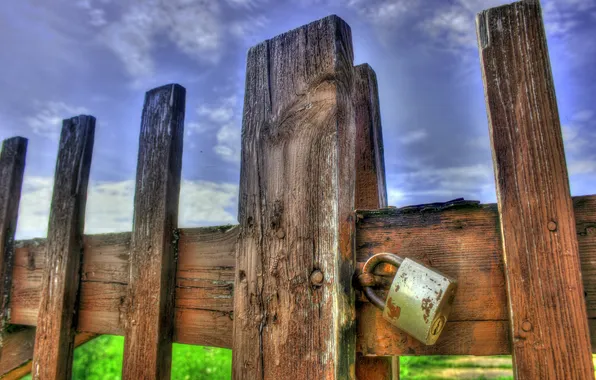 Grass, sky, wood, fence, lock