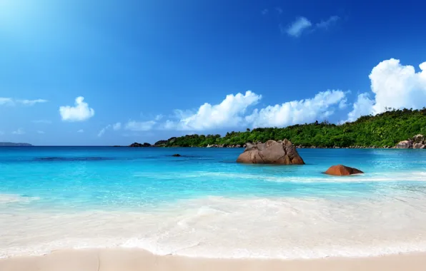 Картинка песок, море, пляж, солнце, тропики, берег, summer, sunshine
