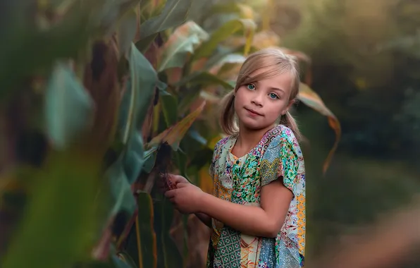 Картинка девочка, прелесть, боке, Lorna Oxenham, In the corn