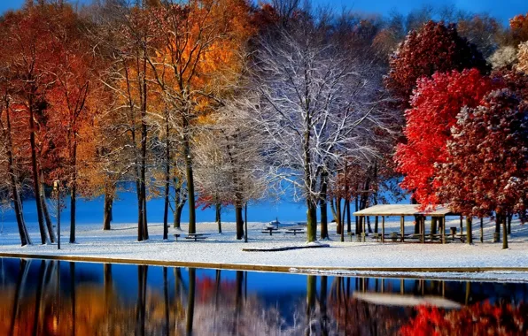Картинка зима, иней, осень, листья, вода, снег, деревья, пейзаж