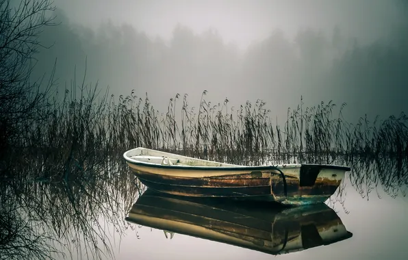 Картинка озеро, лодка, камыш