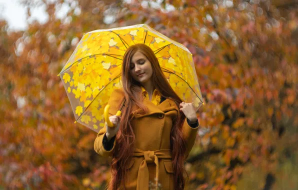 Осень, лес, девушка, природа, поза, парк, листва, зонт