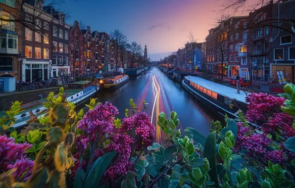 Картинка свет, город, огни, Амстердам, канал