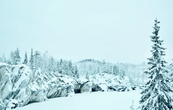 Картинка холод, зима, лес, белый, снег, пейзаж, горы, природа