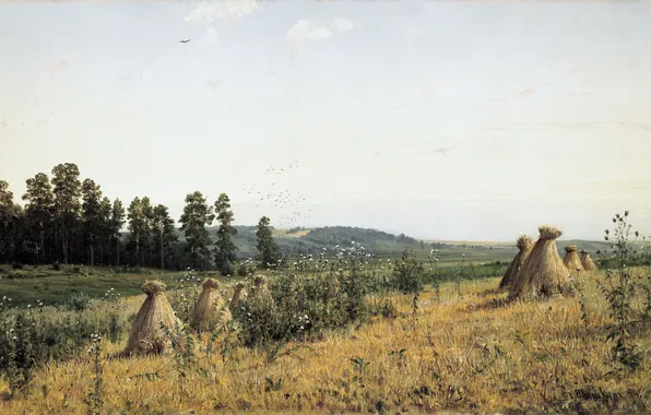 Картинка картина, Шишкин, Пейзаж Полесья