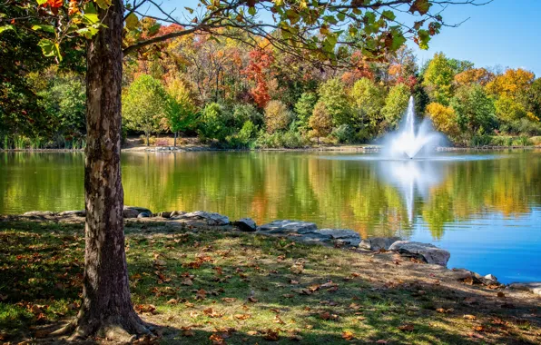 Осень, деревья, пруд, парк, фонтан, Миссури, Central Park, Missouri