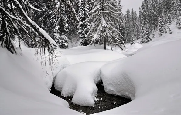 Зима, лес, вода, снег, деревья, ручей, сугробы