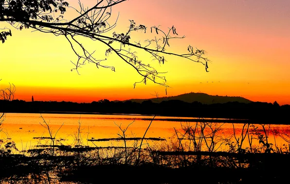 Sun, Water, Sunrise, Dawn, Morning, Lake, Trees, Reflection