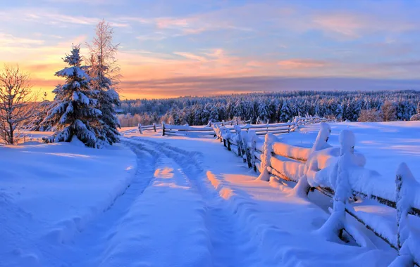 Картинка зима, снег, елки