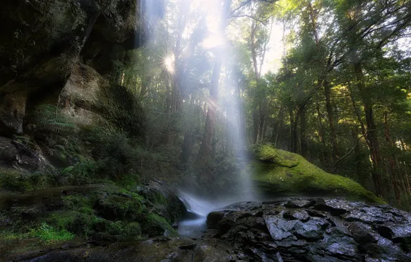 Лес, природа, камни, водопад, Тасмания, Meander Conservation Area, Tasmania., заповедник Меандр