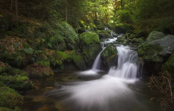 Картинка лес, природа, ручей, камни, водопад