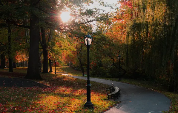 Картинка осень, солнце, деревья, парк, Нью-Йорк, фонари, дорожка, США