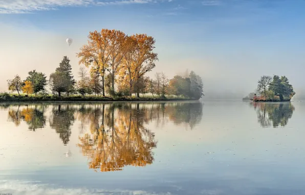 Картинка деревья, туман, озеро, отражение, воздушный шар