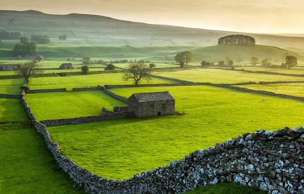 Картинка зеленая трава, простор, дымка, строения, Северный Йоркшир, North Yorkshire, Wensleydale National Park, Национальный парк Уэнслидейл