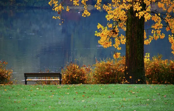 Картинка осень, природа, пруд, река, дерево, листва, лавка