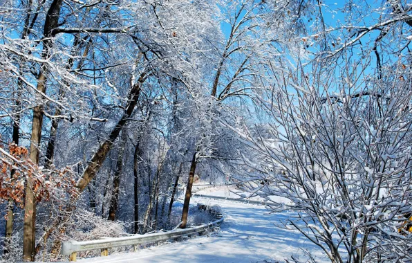 Картинка зима, дорога, лес, снег, мороз, forest, road, Winter