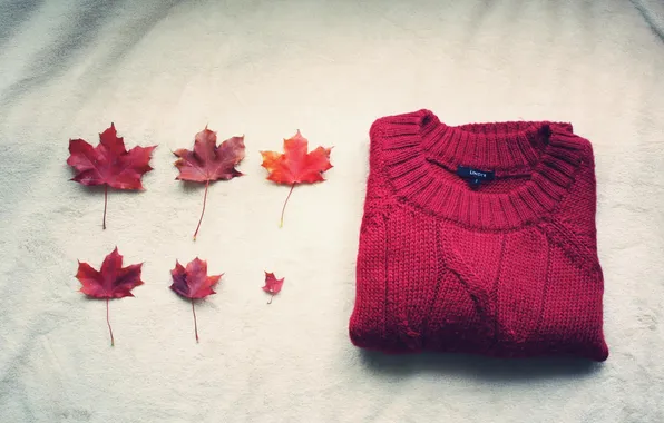 Картинка autumn, foliage, sweater
