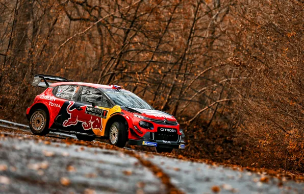 Зима, Авто, Снег, Спорт, Машина, Гонка, Ситроен, Citroen