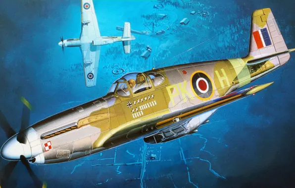 North American, RAF, Королевские ВВС, дальнего радиуса действия, американский одноместный истребитель, Mustang III
