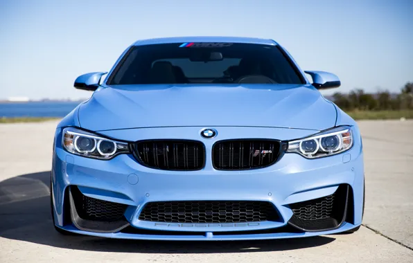 BMW, Blue, F82