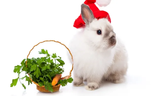 Картинка корзина, кролик, Новый год, морковь
