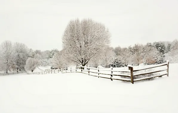 Картинка зима, снег, деревья, пейзаж, природа, забор, ограда, ели