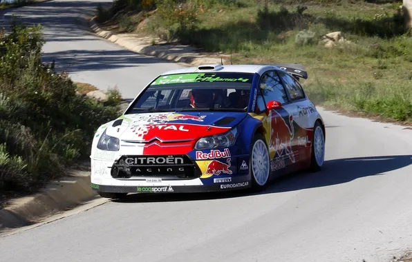 Авто, Citroen, Фары, Red Bull, WRC, Rally, Передок, Гибрид