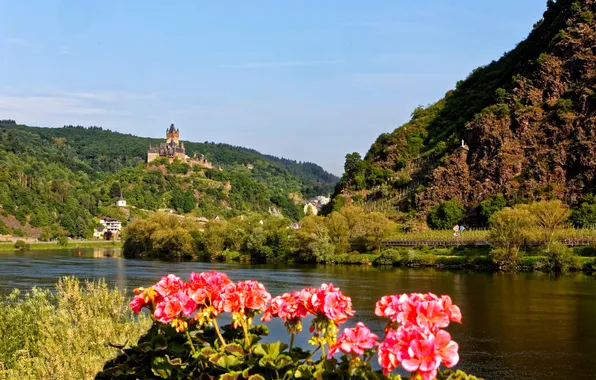 Лес, цветы, горы, река, замок, берег, Германия, Cochem