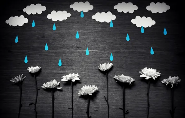 Картинка цветы, фон, дождь