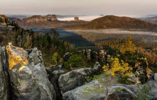 Картинка лес, горы, туман